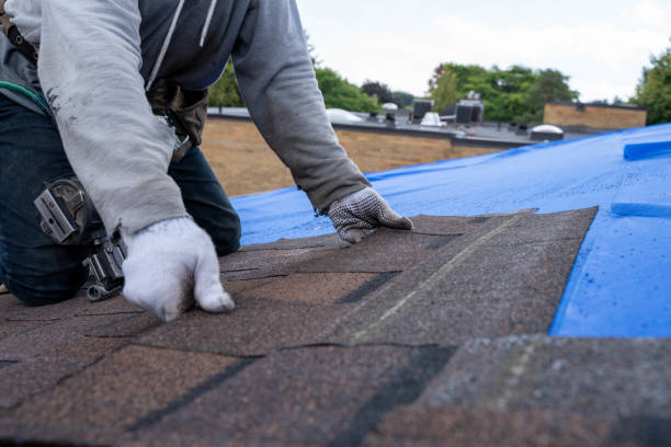 Best Local Roofing Companies  in Byron, GA