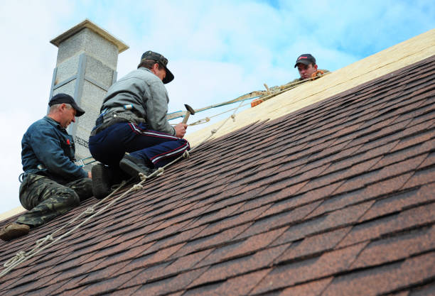 Best New Roof Installation  in Byron, GA